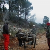 2006 - Branje borova, rekonstrukcija krova kuće, uređenje Boćarskog doma
